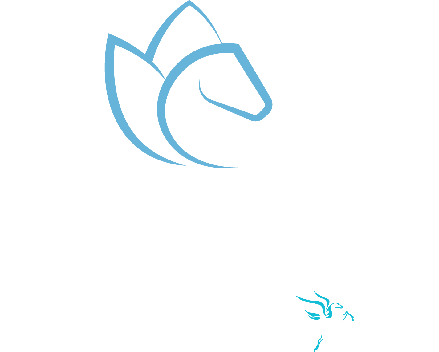 Lillie By Flying Changes